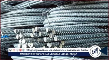 أسعار الحديد.. تحديث جديد لأسعار الحديد في الدقهلية لهذا اليوم